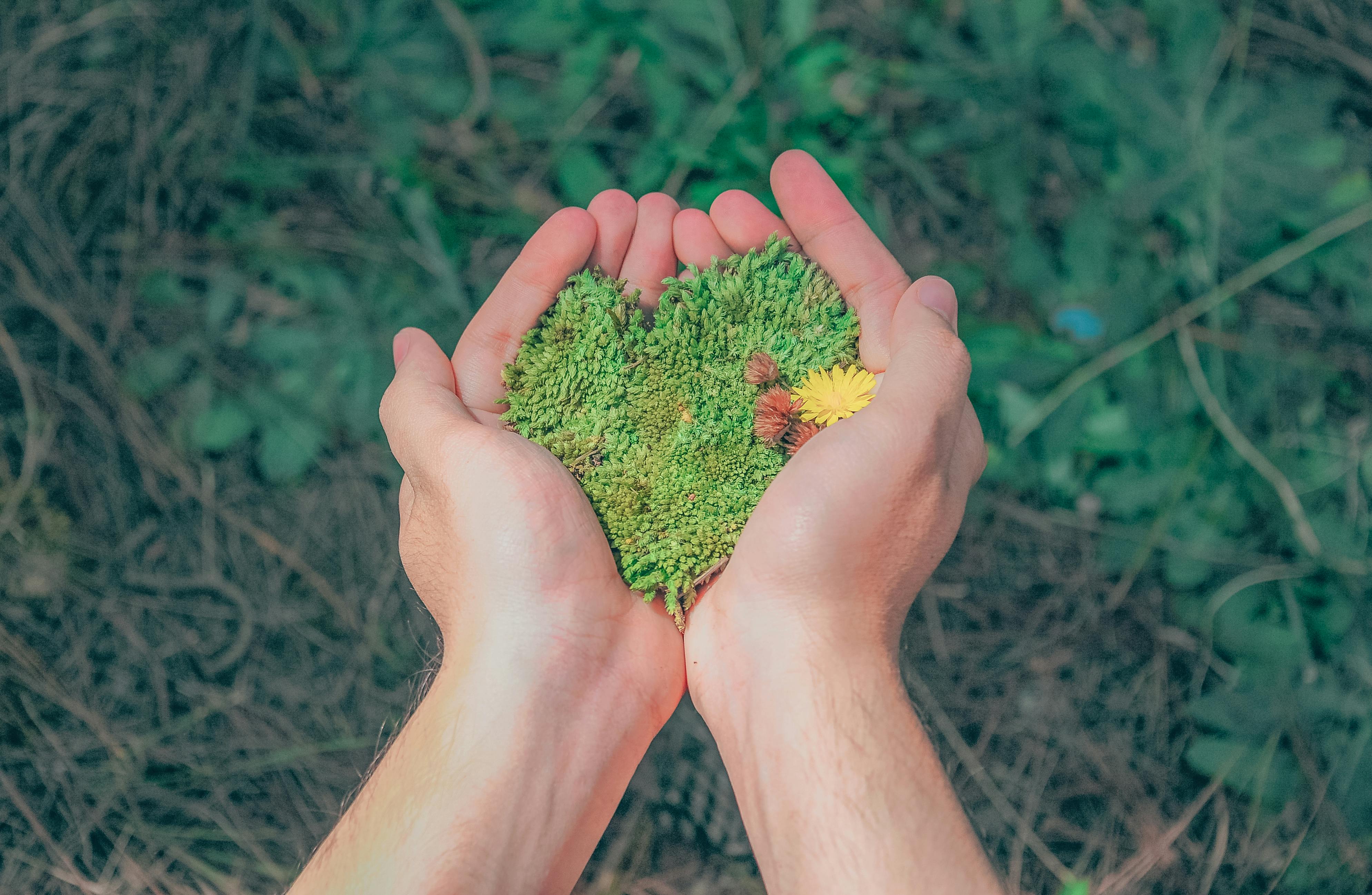 Why Choose Sustainability